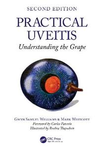 Practical Uveitis: Understanding the Grape