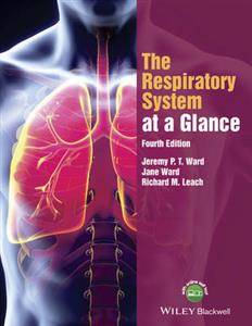 The Respiratory System at a Glance