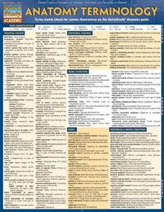 Anatomy Terminology Reference