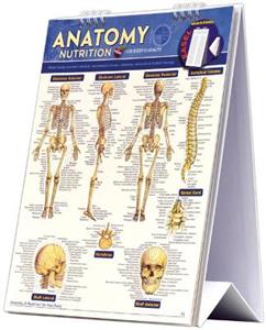 Anatomy & Nutrition for Body & Health Easel Book: a QuickStudy Reference Tool with Major Body Systems Labeled, Nutritional Science, Vitamins, Minerals