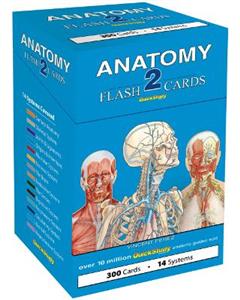  Anatomy 2 Flash Cards (300 cards)