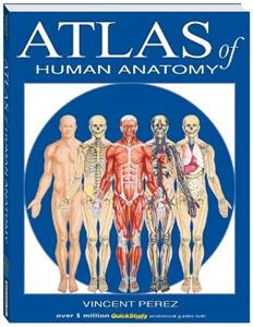  Atlas of the Human Anatomy