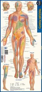  Trigger Points