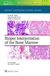 Biopsy Interpretation of the Bone Marrow (Biopsy Interpretation Series)