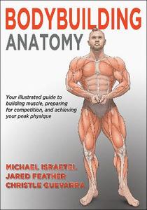  Bodybuilding Anatomy