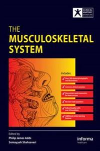 The Musculoskeletal System